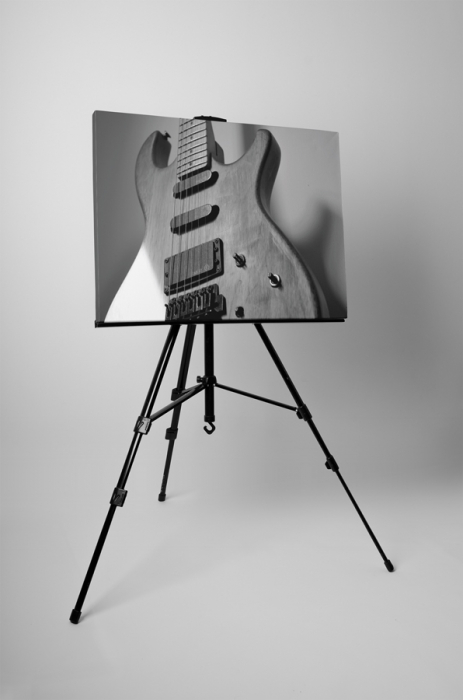 Tablou canvas : Chitara electrica [3]