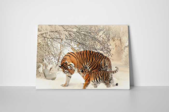 Tablou canvas : Familie de tigri [2]