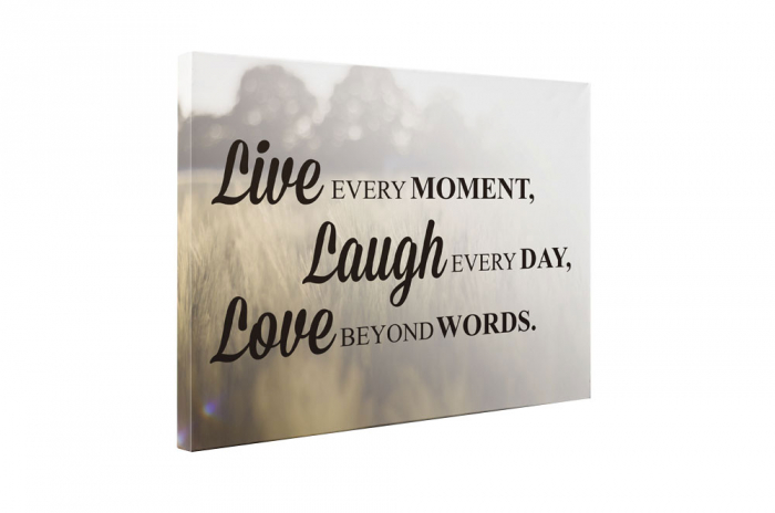 Tablou canvas : Live, Laugh, Love [5]