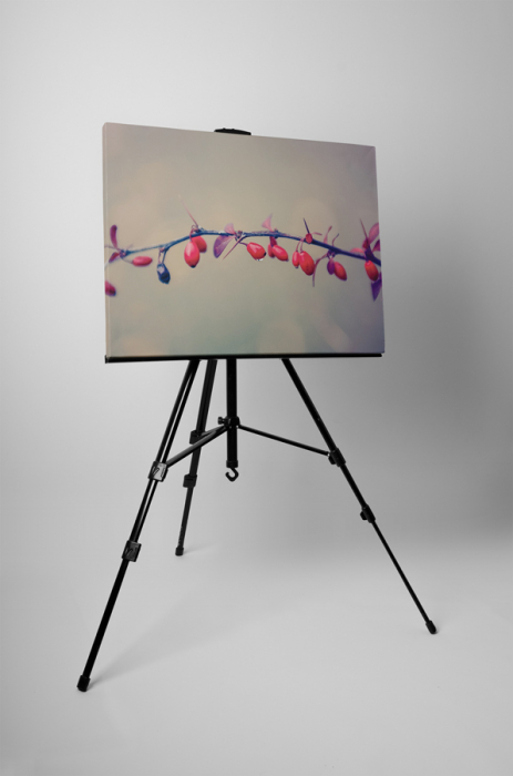 Tablou canvas : Macese coapte [3]