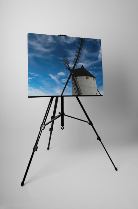 Tablou canvas : Moara din Olanda [3]