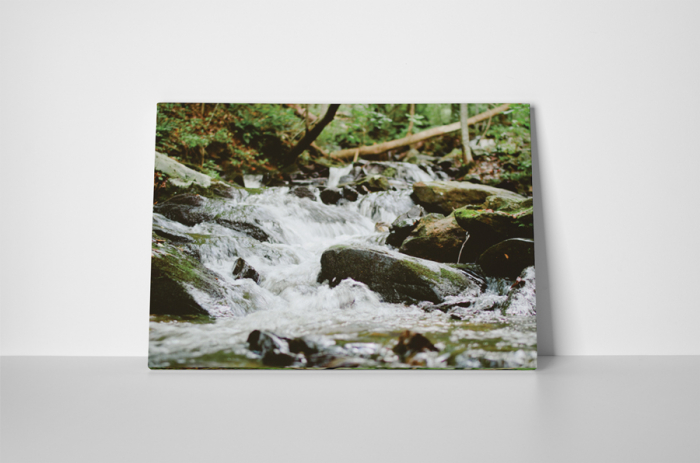 Tablou canvas : Paraul [2]
