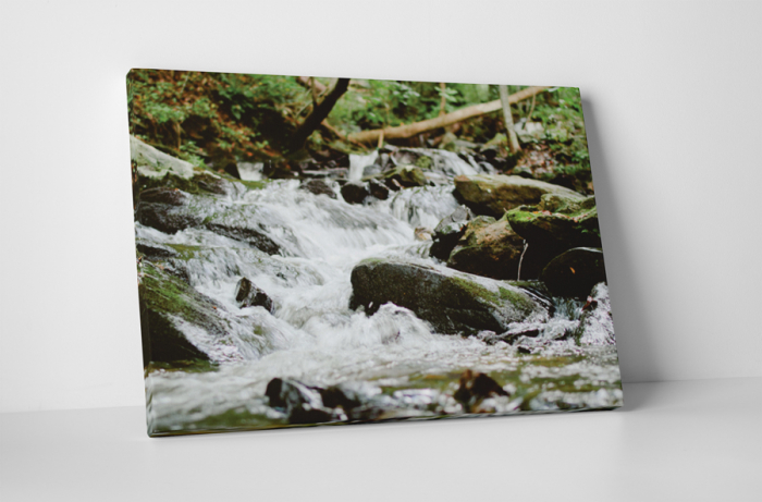 Tablou canvas : Paraul [1]
