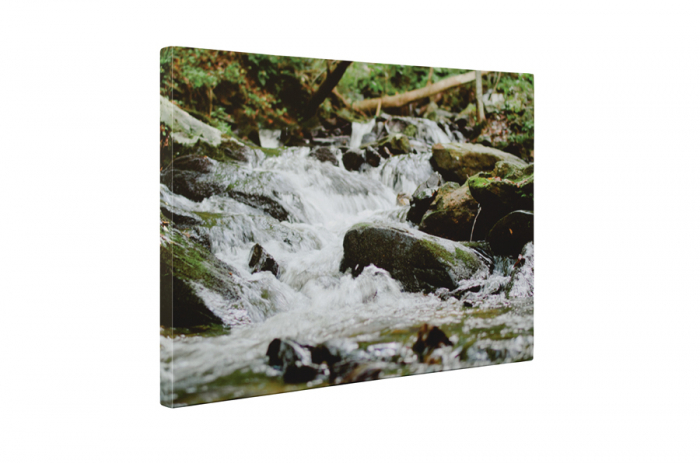 Tablou canvas : Paraul [5]