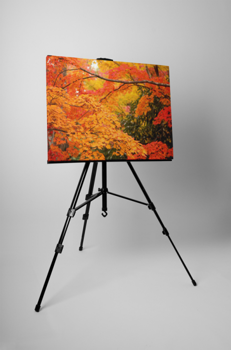 Tablou canvas : Frunzele toamnei [3]