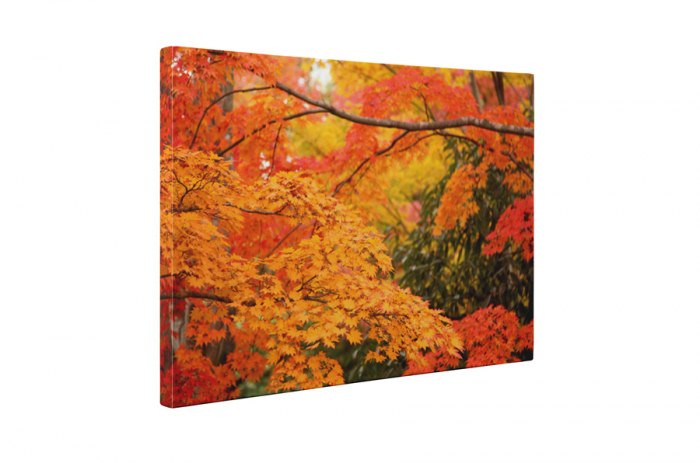 Tablou canvas : Frunzele toamnei [5]