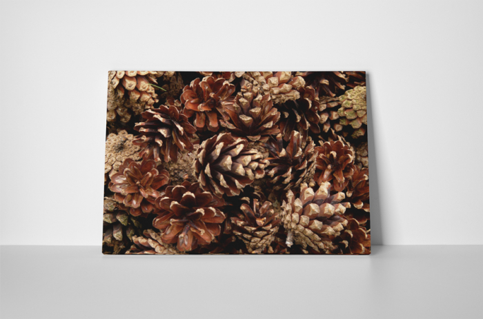 Tablou canvas : Multime de conuri [2]