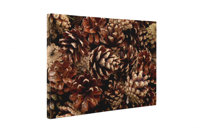Tablou canvas : Multime de conuri [5]