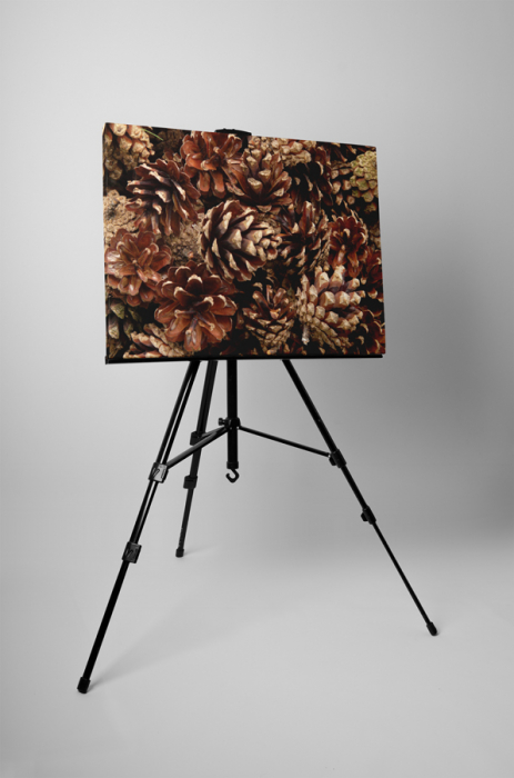 Tablou canvas : Multime de conuri [3]