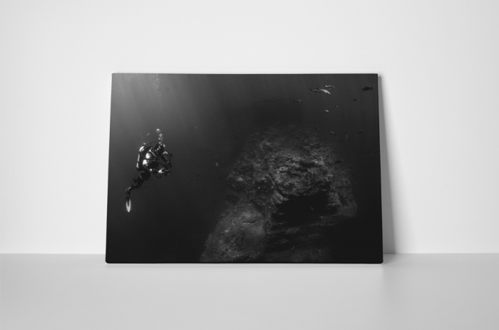 Tablou canvas : Scafandru [2]