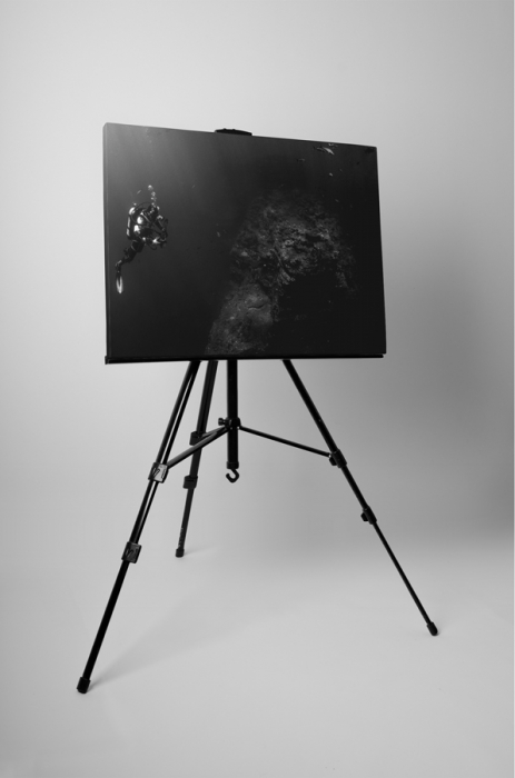 Tablou canvas : Scafandru [3]