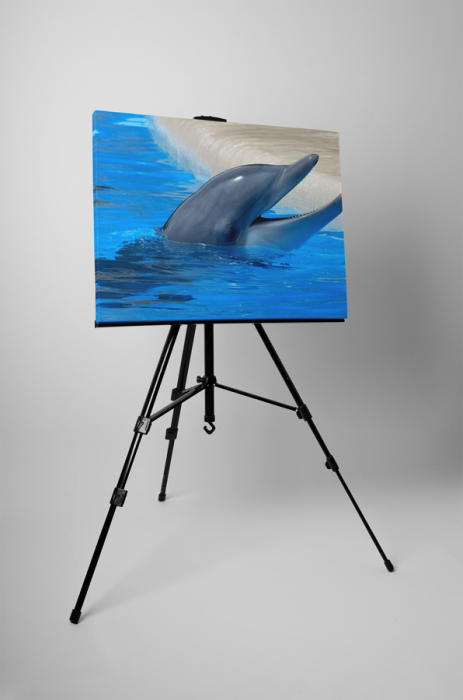 Tablou canvas : Delfin [3]