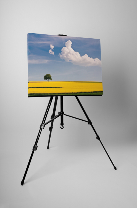 Tablou canvas : Peisaj de vara [3]