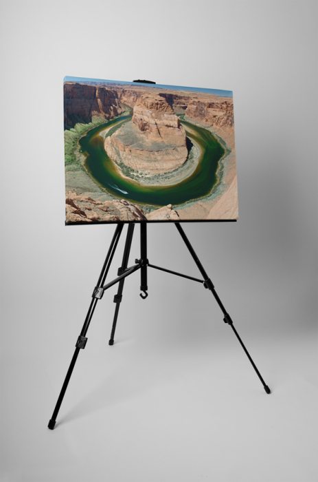 Tablou canvas : Horseshoe [3]