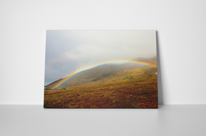 Tablou canvas : Curcubeu [2]