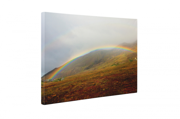 Tablou canvas : Curcubeu [5]