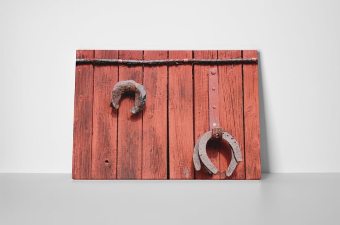 Tablou canvas : Potcoave [2]