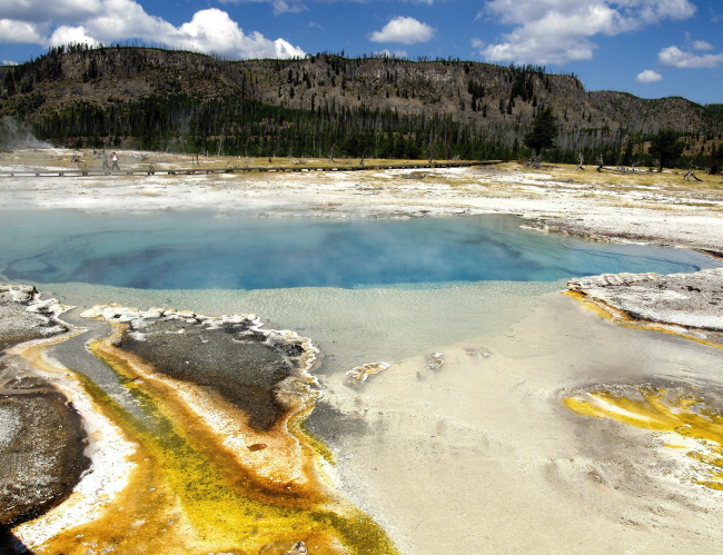 Tablou canvas : Parcul National Yellowstone [4]