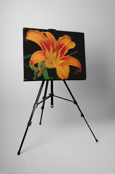 Tablou canvas : Crinul portocaliu [3]