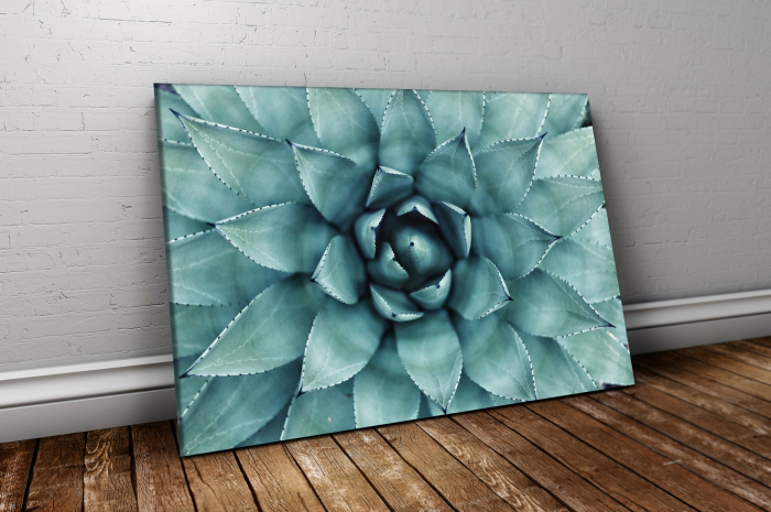 Tablou canvas : Fibonacci [2]