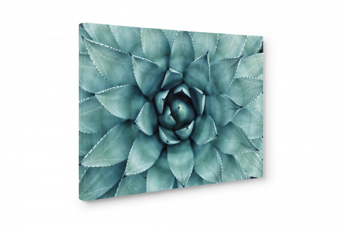 Tablou canvas : Fibonacci [4]
