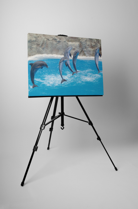 Tablou canvas : Delfini [3]