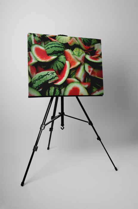 Tablou canvas : Coaje de lebenita [3]