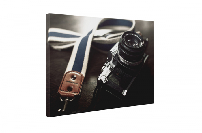 Tablou canvas : Aparat foto Olympus [5]