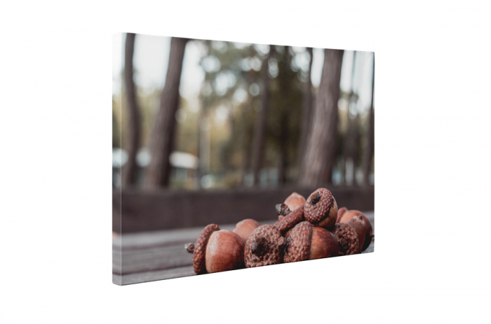 Tablou canvas : Ghinde [5]