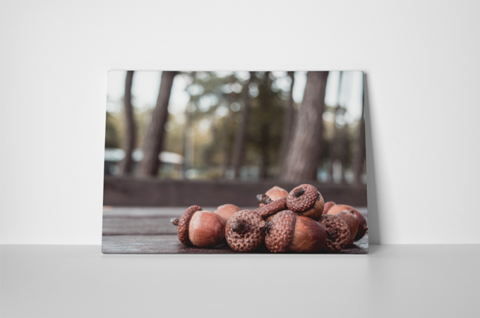 Tablou canvas : Ghinde [2]