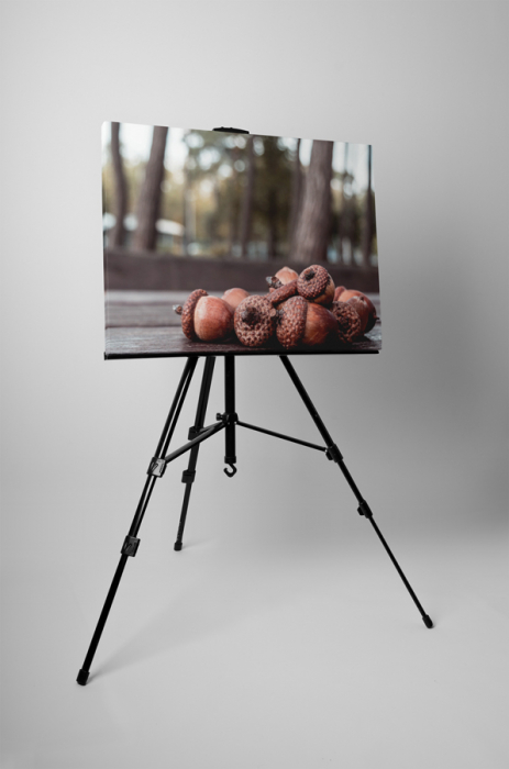 Tablou canvas : Ghinde [3]