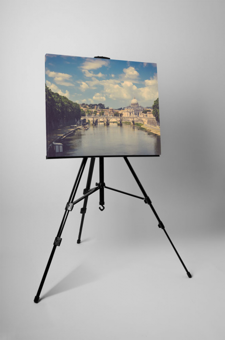 Tablou canvas : Domul Bazilica Sf. Petru [3]