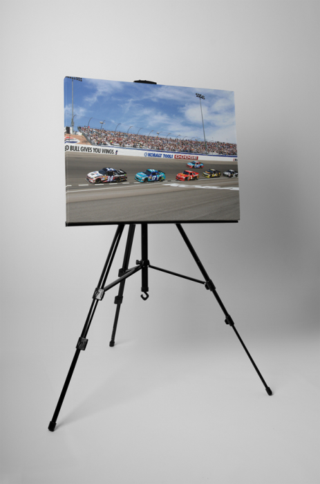 Tablou canvas : Nascar [3]