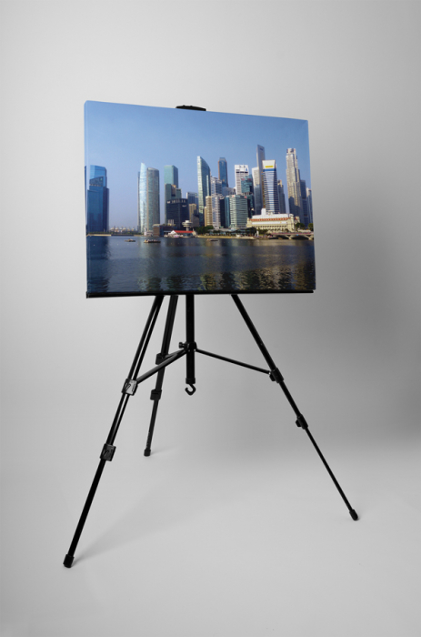 Tablou canvas : Singapore [3]