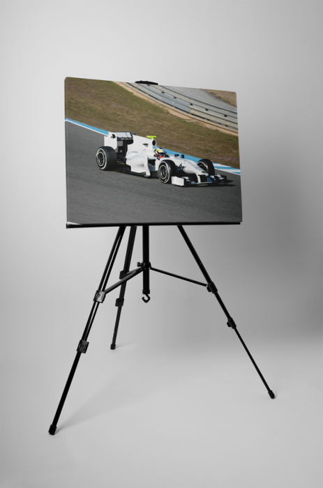 Tablou canvas : Formula 1 [3]