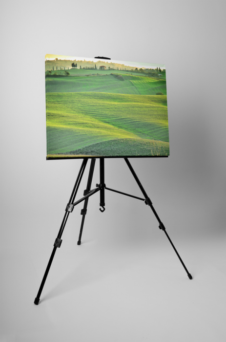 Tablou canvas : Campul verde [3]