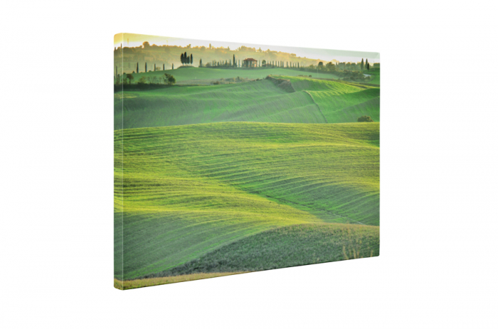 Tablou canvas : Campul verde [5]