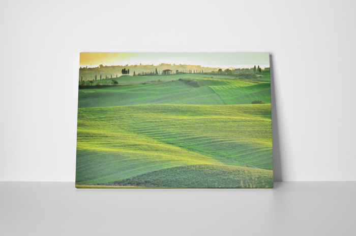 Tablou canvas : Campul verde [2]
