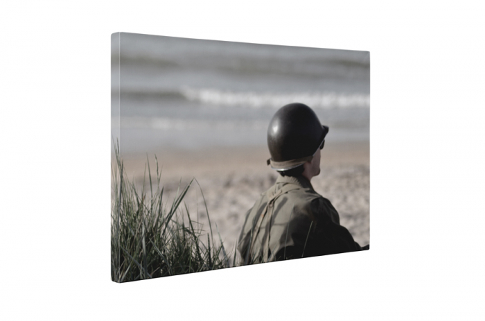 Tablou canvas : Soldat [5]