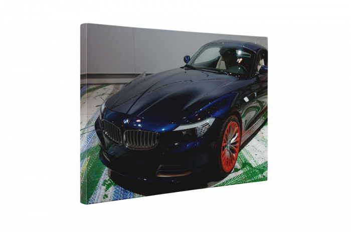 Tablou canvas : BMW Z4 E89 [5]