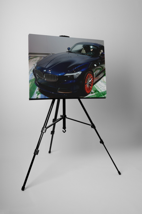 Tablou canvas : BMW Z4 E89 [3]