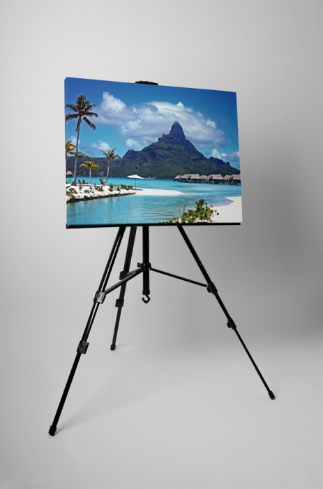 Tablou canvas : Excursie in Bahamas [3]