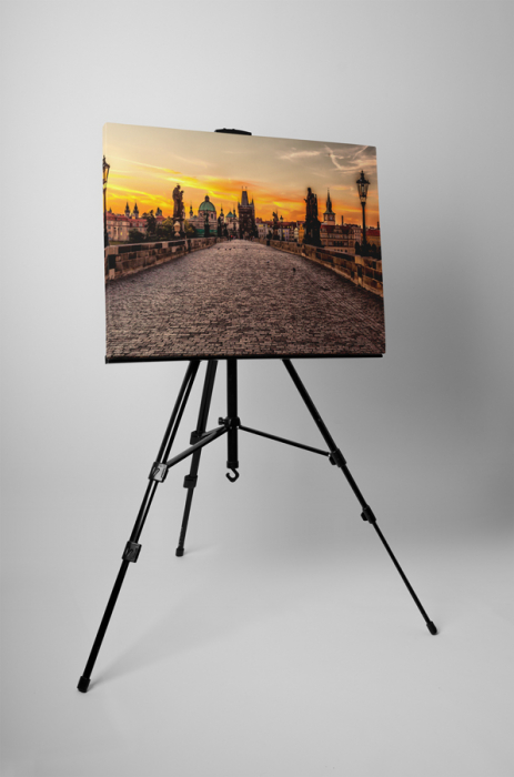 Tablou canvas : Podul Carol Praga [3]
