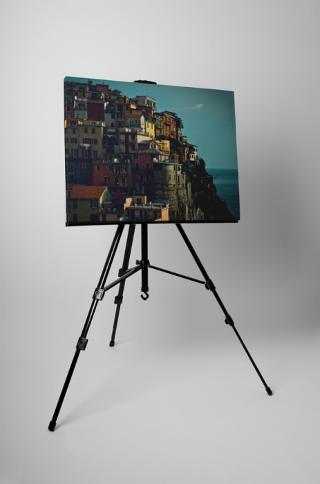 Tablou canvas : Casute la inaltime [3]