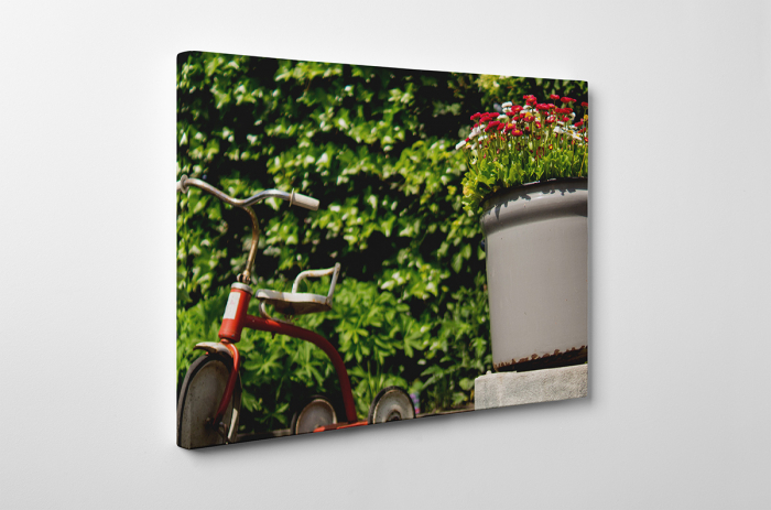 Tablou canvas : Nostalgie [2]