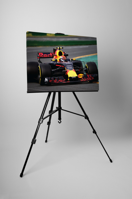 Tablou canvas : F1 Red Bull Max Verstappen [3]