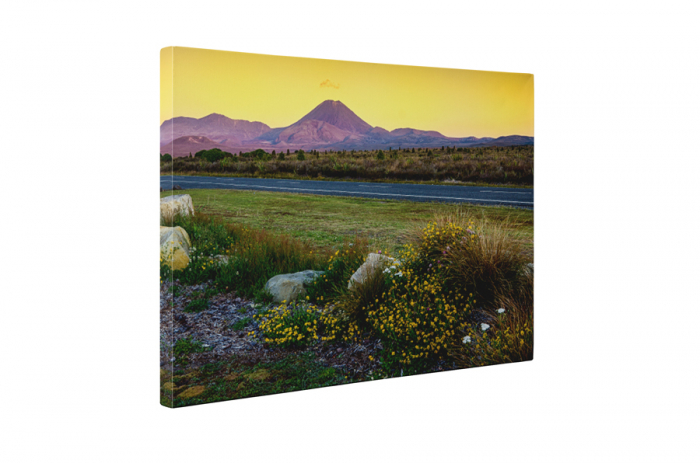 Tablou canvas : Drum in mijlocul Arizonei [5]