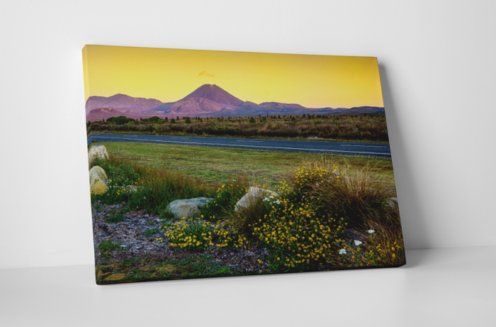 Tablou canvas : Drum in mijlocul Arizonei [1]