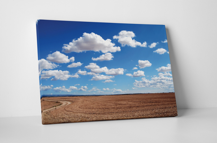 Tablou canvas : Dupa recoltare [1]