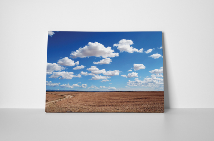 Tablou canvas : Dupa recoltare [2]